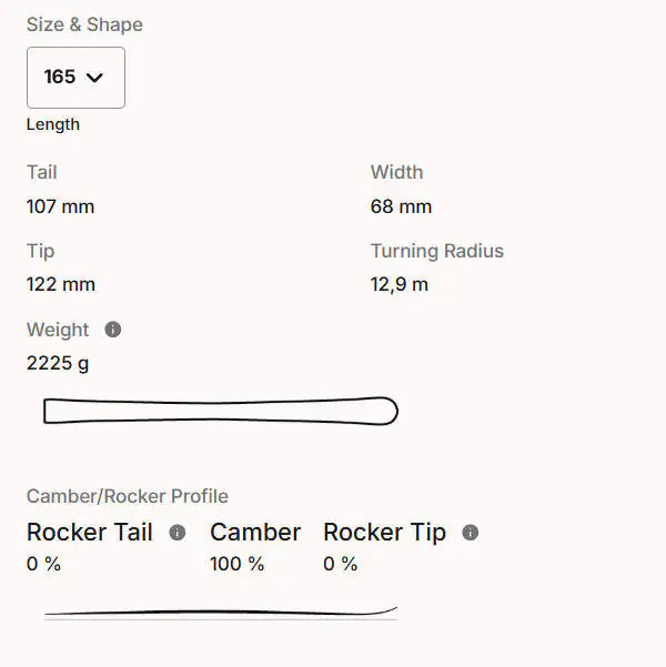 HEAD Worldcup Rebels e-SL Pro Racing Ski