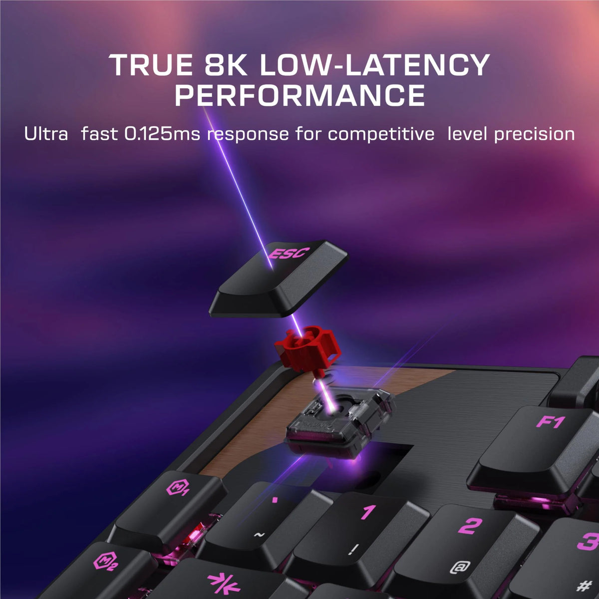 Turtle Beach Command Series KB5 Wired Full Size Mechanical Keyboard