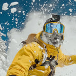 GoPro Official Head Strap 2.0