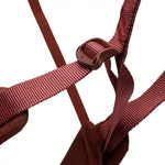 Black Diamond Women's Momentum Harness Baja Sunrise - Blackhawk International