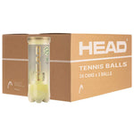 HEAD TOUR Tennis Balls - Box of 72 Balls - Blackhawk International