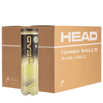 HEAD TOUR XT 4 Tennis Balls - Box of 72 Balls - Blackhawk International