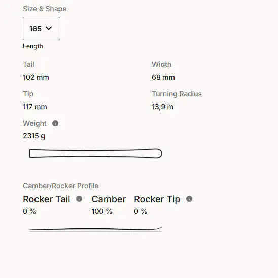 HEAD Worldcup Rebels e-Race Pro Racing Ski