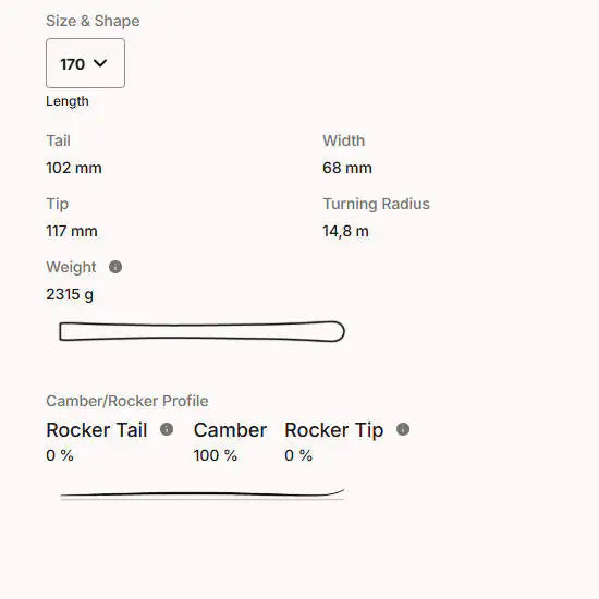 HEAD Worldcup Rebels e-Race Pro Racing Ski