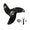 Replacement Propeller For Blackhawk Thruster Motor - Blackhawk International