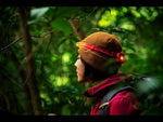 BioLite HeadLamp 425