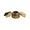 Trangia Spirit Burner W Screwcap - Blackhawk International